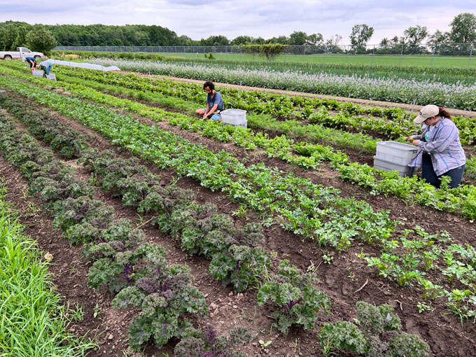 Two students working in a field
